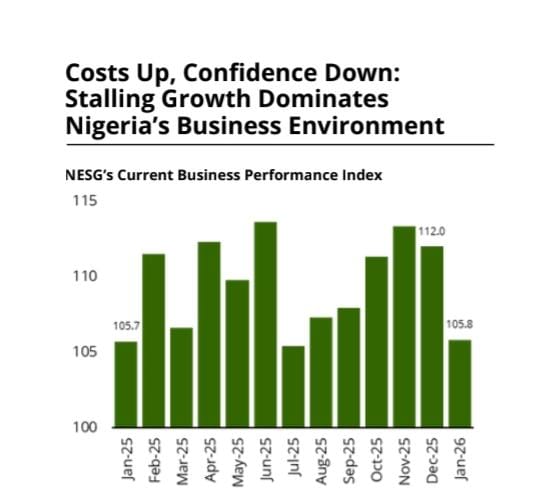 Costs Up, Confidence Down: Stalling Growth DominatesNigeria’s Business Environment, NESG