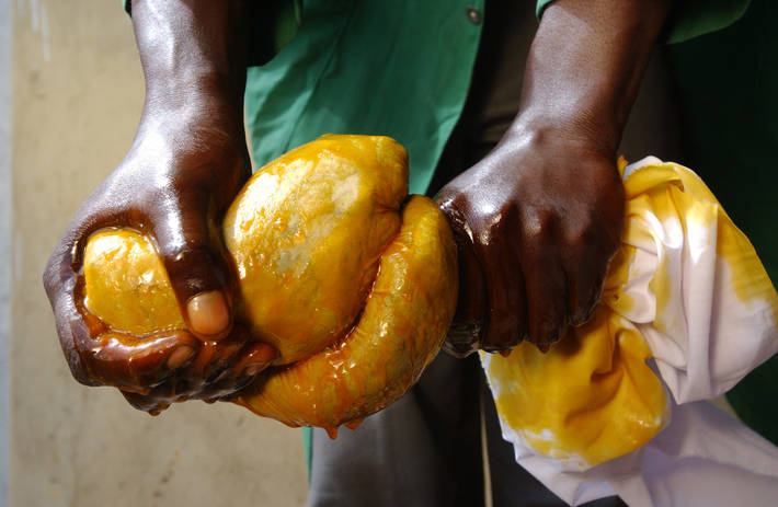 Palm oil, agriculture, food price