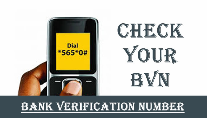 how to check bvn: BusinessHAB.com