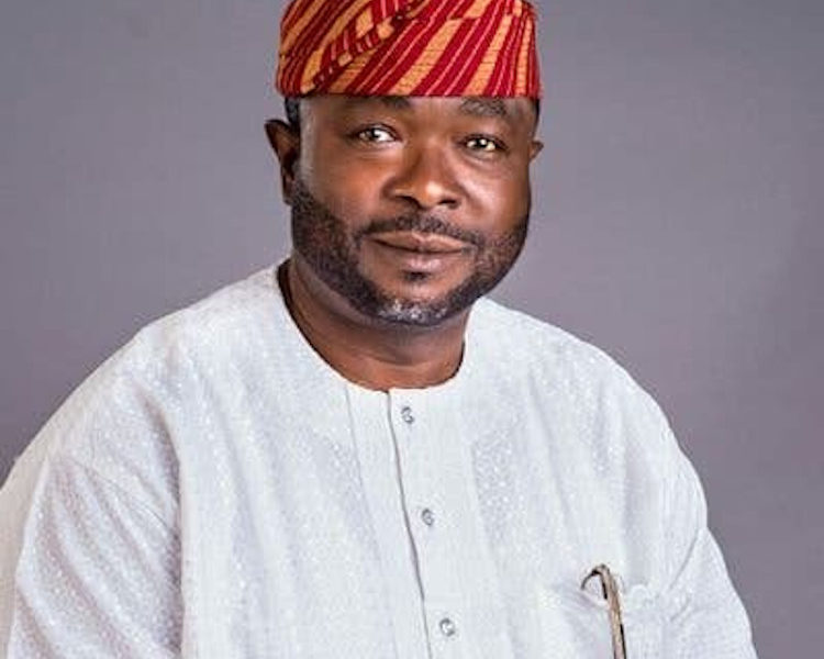 Lagos State Senator