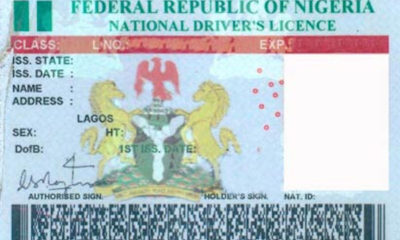 drivers license, Nigerian Driver's License, driver’s license in Nigeria, Drivers-LicenseRemove term, nigerian-drivers-license-template, nigerian-drivers-license-template, nigeria-drivers-license, how-much-is-drivers-license-in-ibadan, nigeria-drivers-license, how-much-is-drivers-license-in-ibadan, drivers-license-renewal drivers-license-renewal, driver's-license-application driver's-license-application, driver's-license-application-form driver's-license-application-form, how-to-apply-for-drivers-license-in-nigeria, how-to-apply-for-drivers-license-in-nigeria, temporary-drivers-license-nigeria temporary-drivers-license-nigeria, driver’s license in Nigeria, driver’s license in Nigeria 