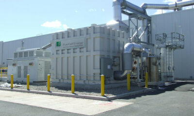 Fuel Cell industry, fuel cell industry review 2019, fuel cell industry review 2020, fuel cell industry outlook fuel cell market, fuel cell technologies market report 2019, fuel cell market report, hydrogen fuel cell industry, fuel cell market analysis