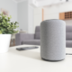 Smart Speakers Provide Accessibility to Blind or Visually Impaired, But Design Prevents Full Use Brandnewsday