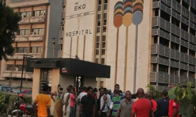 ekocorp plc, ekocorp plc annual report 2019, ekocorp plc annual report 2018, ekocorp plc annual report 2015, ekocorp plc annual report 2011, ekocorp plc annual report 2016, eterna plc, ekocorp plc annual report 2012, ekocorp plc annual report 2017