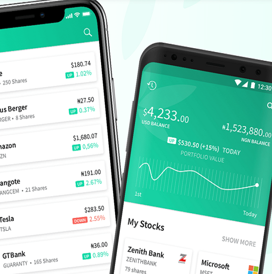 ecoplanet bamboo stock price, Broker First Securities bamboo stocks to invest in, investing in bamboo stock, invest bamboo nairaland, bamboo nigeria, is bamboo investment legit, bamboo money, bamboo investment app