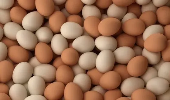 Kenya Layer Farmers Face Rising Losses As Egg Production Drops Despite Strong Demand In 2026